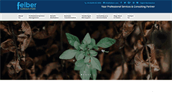 Desktop Screenshot of felberconsulting.com