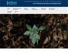 Tablet Screenshot of felberconsulting.com
